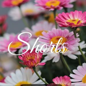 Section: Shorts